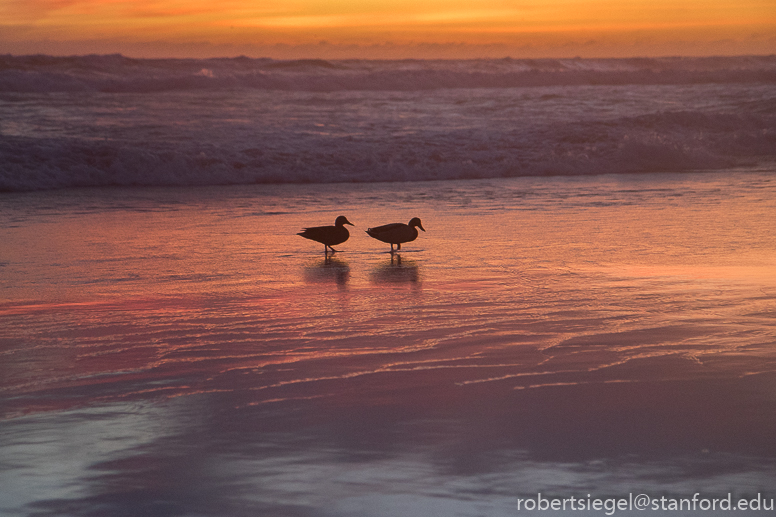 asilomar